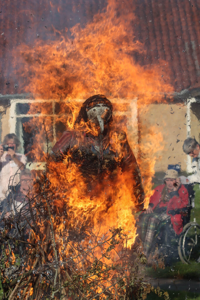 Tidlig Skt. Hans. Foto: Ole Kæhler