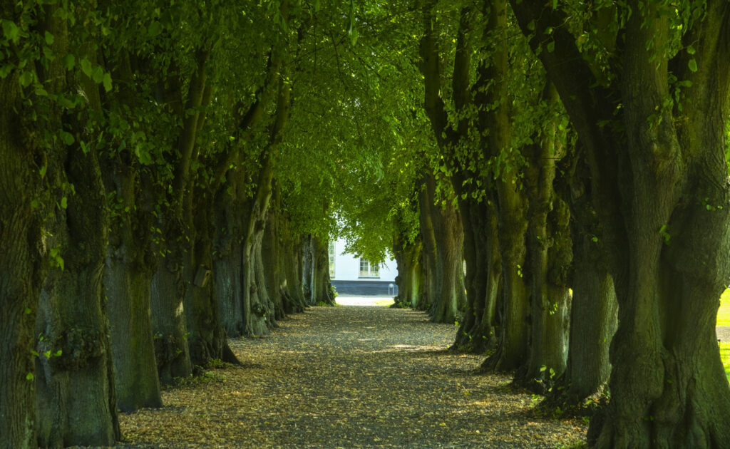 Nordborg Slot. Bachs Foto