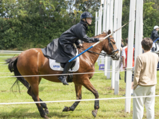 Kegnæs Ringridning. Bachs Foto