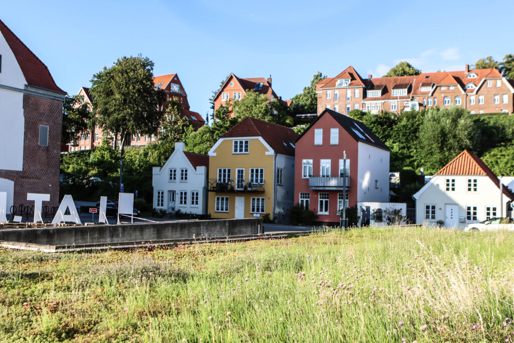 Tæt på vandkanten. Foto: Ole Kæhler