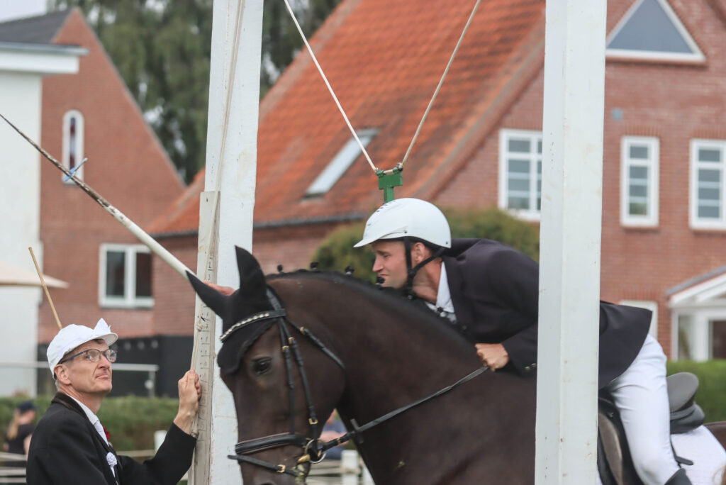 Kongeomridning. Foto: Ole Kæhler