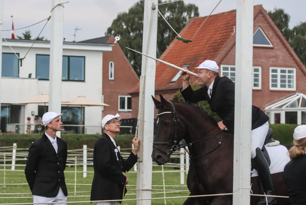 Kongeomridning. Foto: Ole Kæhler