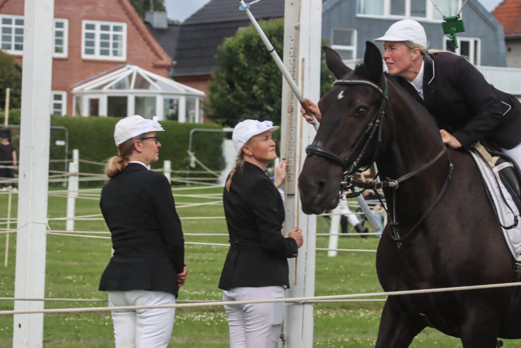 Kongeomridning. Foto: Ole Kæhler