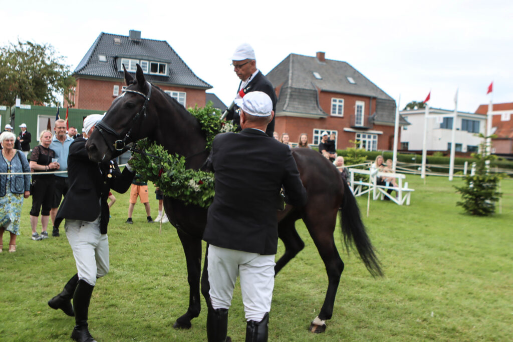 Kongeomridning. Foto: Ole Kæhler