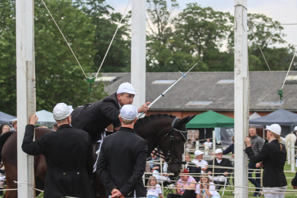 Ringriderfinale. Foto: Ole Kæhler