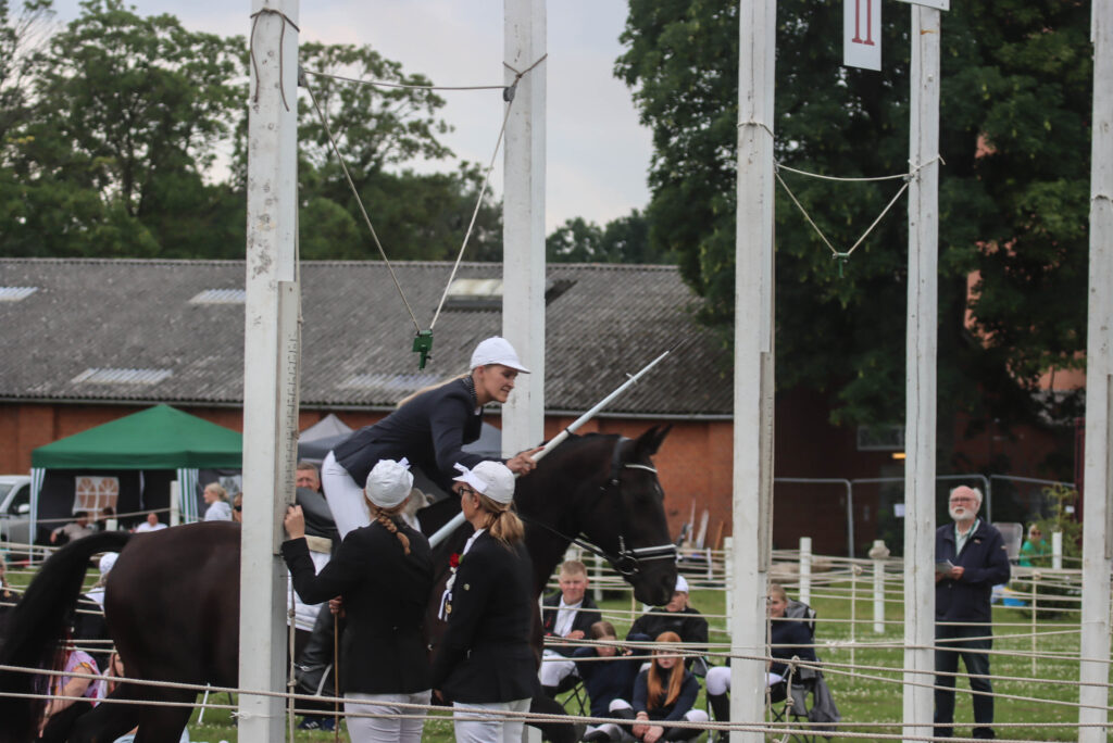 Ringriderfinale. Foto: Ole Kæhler