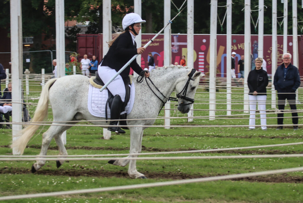 Ringriderfinale. Foto: Ole Kæhler