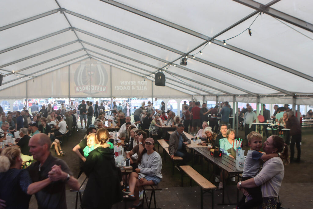 Eftermiddagsfest. Foto: Ole Kæhler