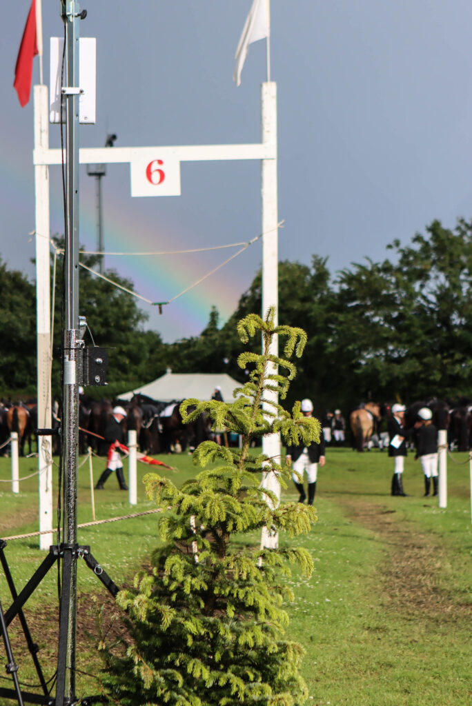 Ringriderfinale. Foto: Ole Kæhler