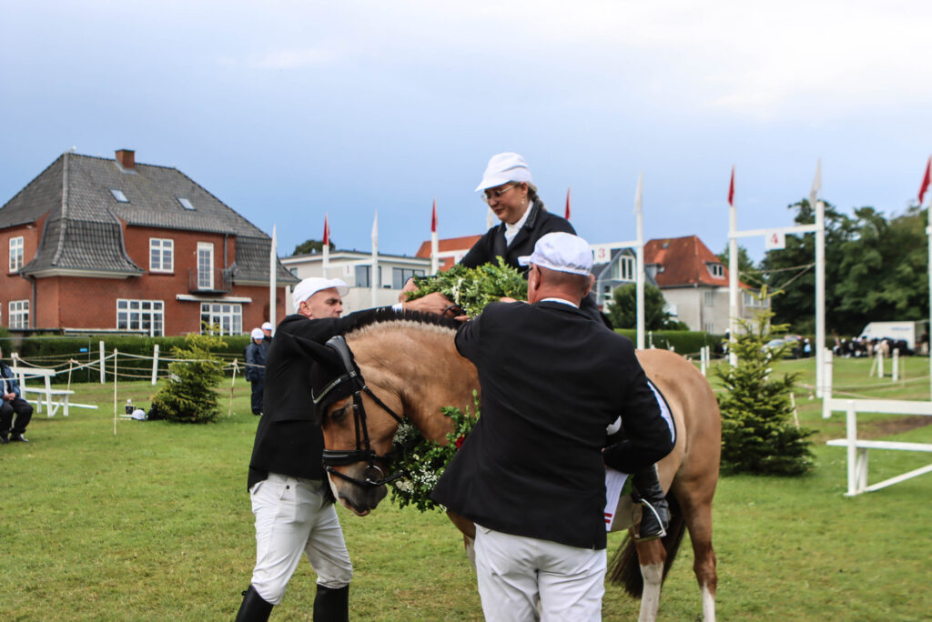 Ringriderfinale. Foto: Ole Kæhler