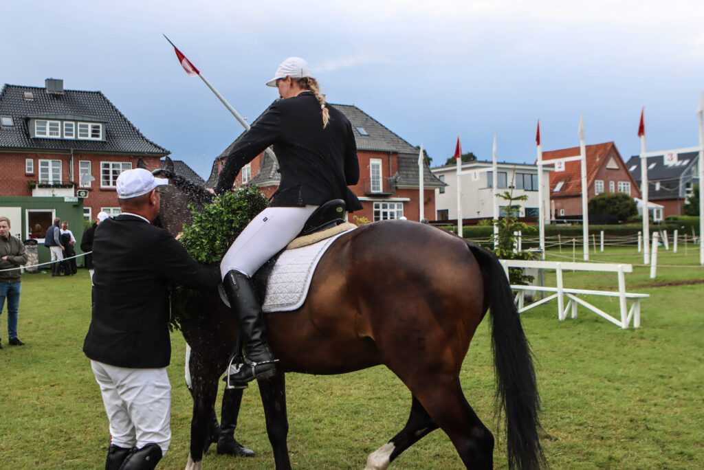 Ringriderfinale. Foto: Ole Kæhler