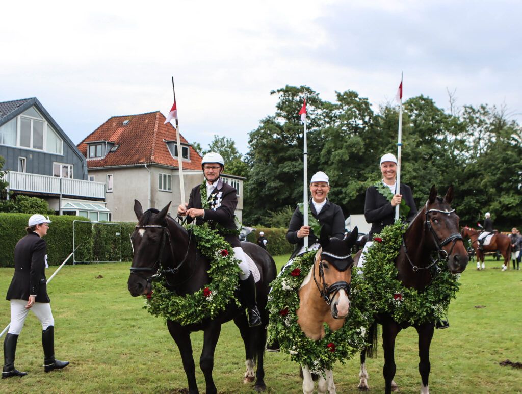 Ringriderfinale. Foto: Ole Kæhler