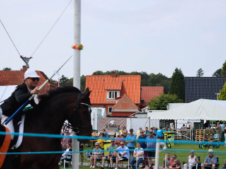Ringridning. Foto: Ole Kæhler