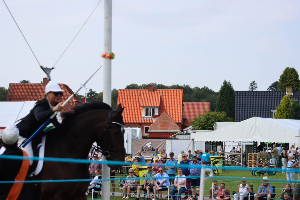 Ringridning. Foto: Ole Kæhler