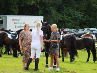 Ringridning. Foto: Ole Kæhler