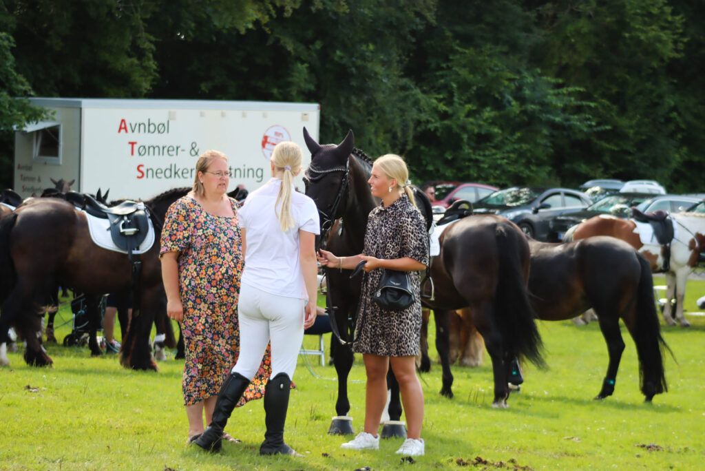Ringridning. Foto: Ole Kæhler
