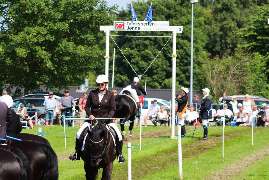 Ringridning. Foto: Ole Kæhler