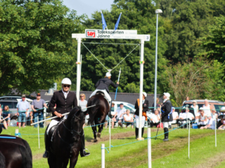 Ringridning. Foto: Ole Kæhler