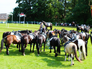Ringridning. Foto: Ole Kæhler