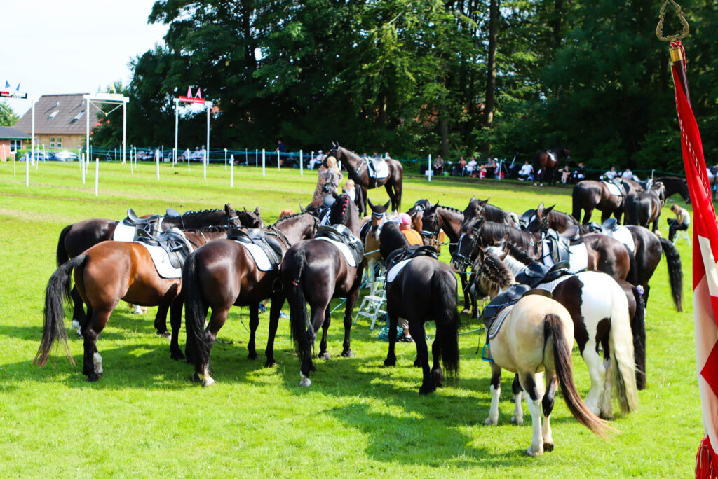 Ringridning. Foto: Ole Kæhler