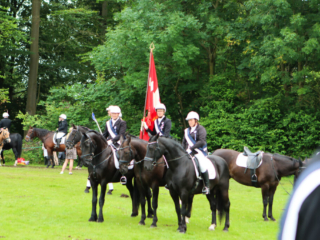 Ringridning. Foto: Ole Kæhler