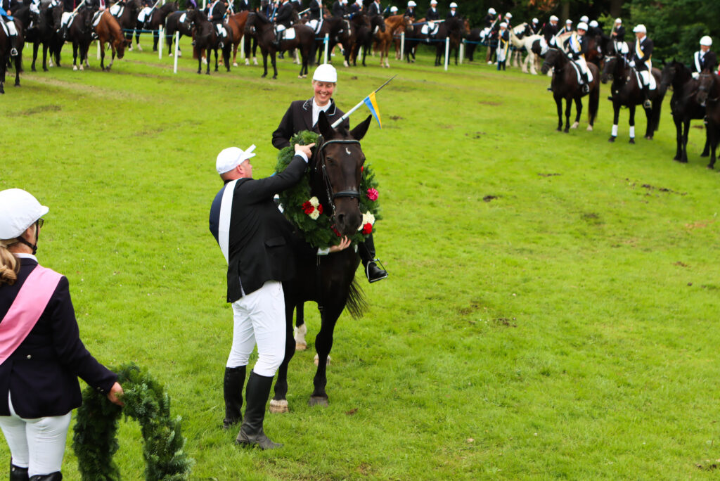 Ringridning. Foto: Ole Kæhler