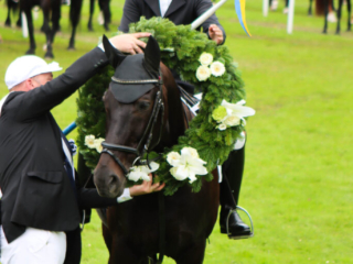 Ringridning. Foto: Ole Kæhler