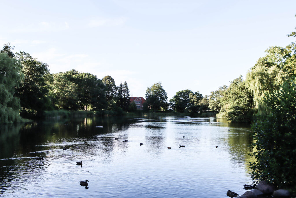 Ved Mølledammen. Foto: Ole Kæhler