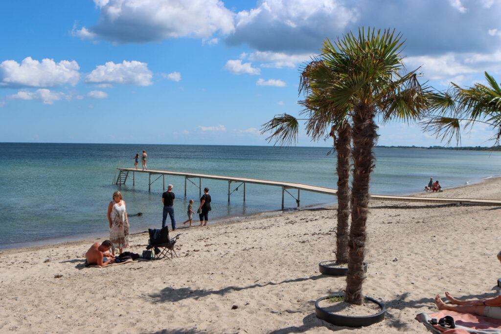 Havnefesten. Bachs Foto