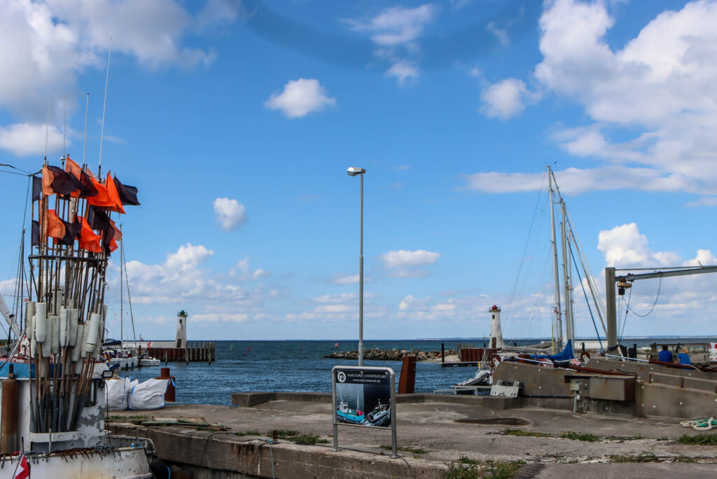 Havnefesten. Bachs Foto