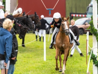 Skovby Ringridning. Fotos: Bo Bach & Ole Kæhler