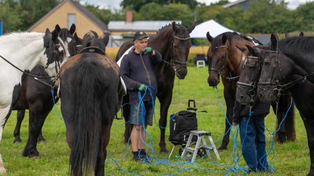 Skovby Ringridning. Fotos: Bo Bach & Ole Kæhler