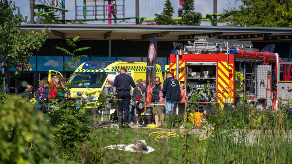 Hverdagens helte. Bachs Foto