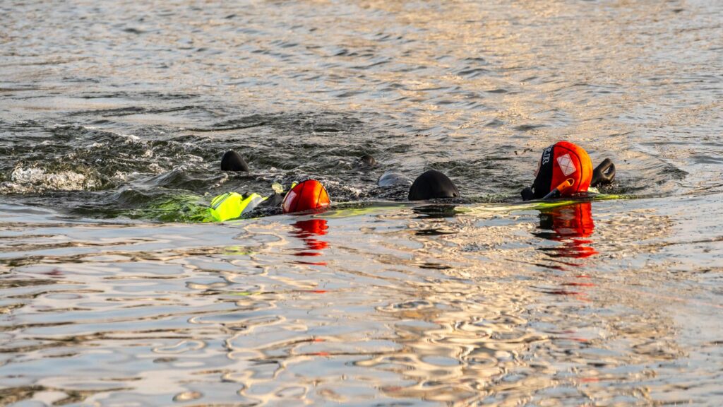 Øvelse. Bachs Foto