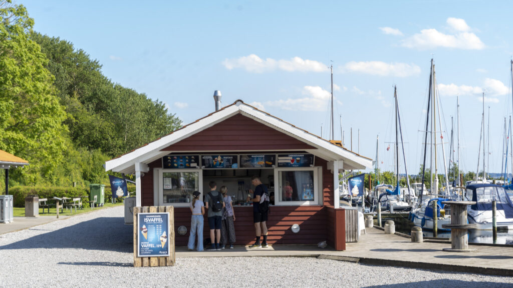 Marina Minde. Bachs Foto
