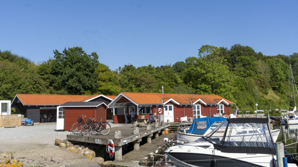 Marina Minde. Bachs Foto