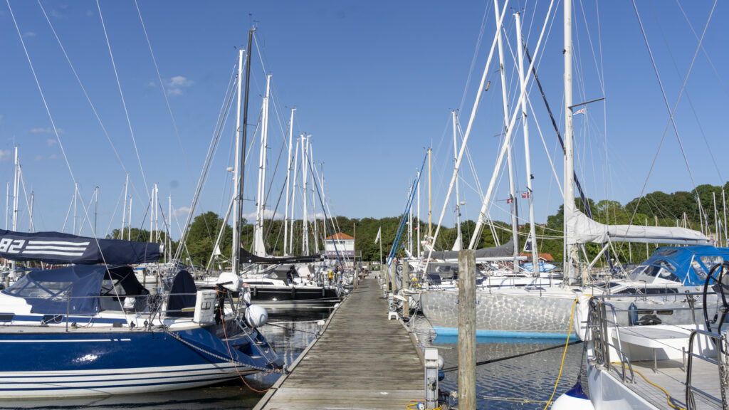 Marina Minde. Bachs Foto