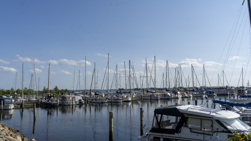 Marina Minde. Bachs Foto