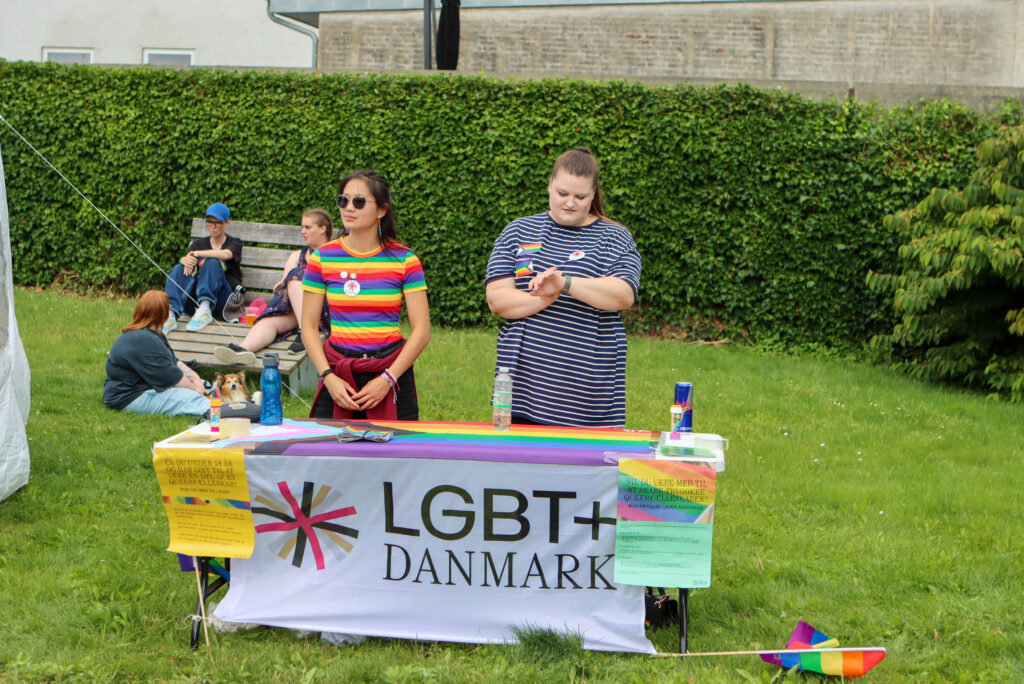 Pride-optog: Foto: Ole Kæhler