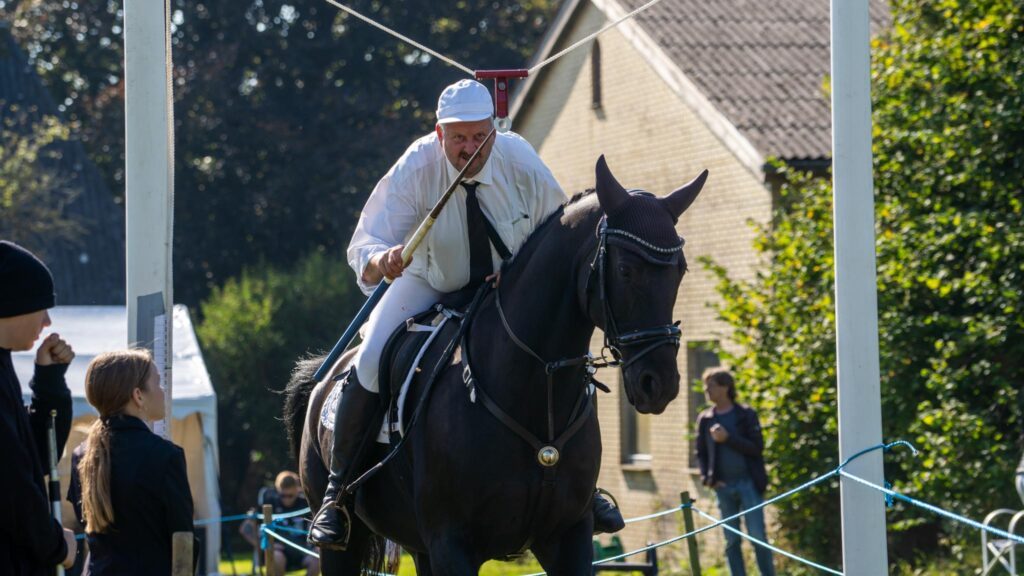 Hestesport. Bachs Foto