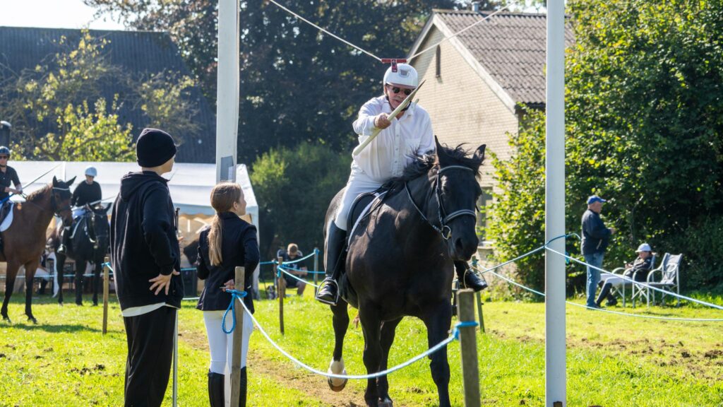 Hestesport. Bachs Foto
