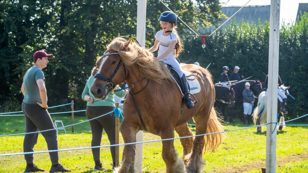 Hestesport. Bachs Foto