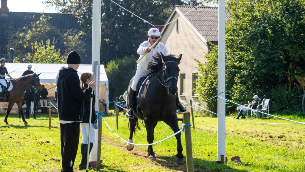 Hestesport. Bachs Foto