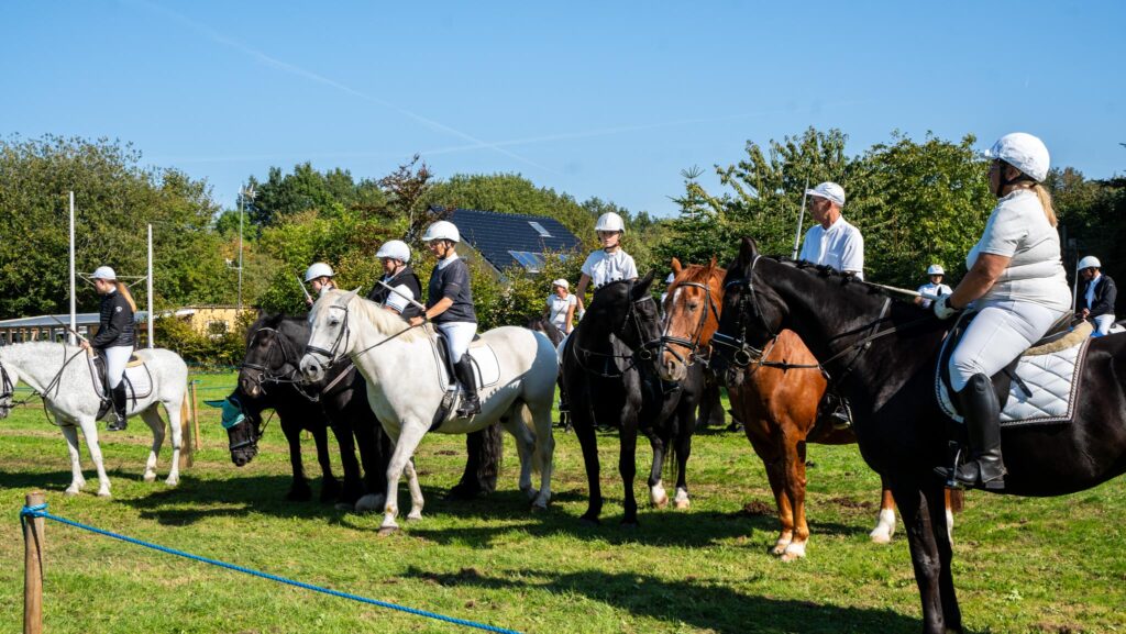 Hestesport. Bachs Foto