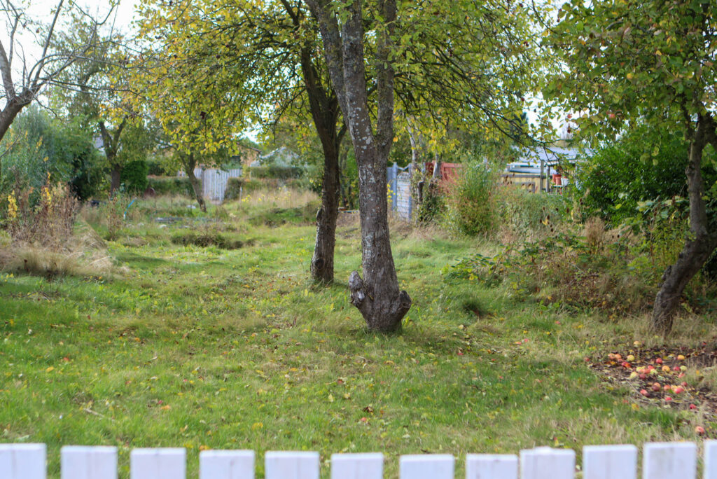 Kolonihave i Sundsmark. Foto: Ole Kæhler