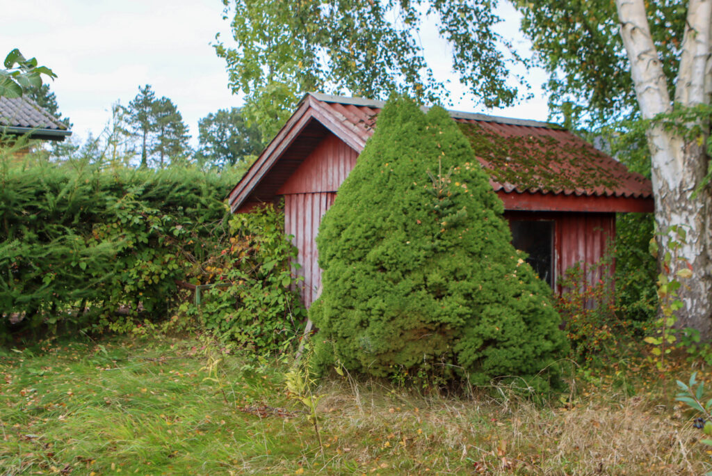 Kolonihave i Sundsmark. Foto: Ole Kæhler