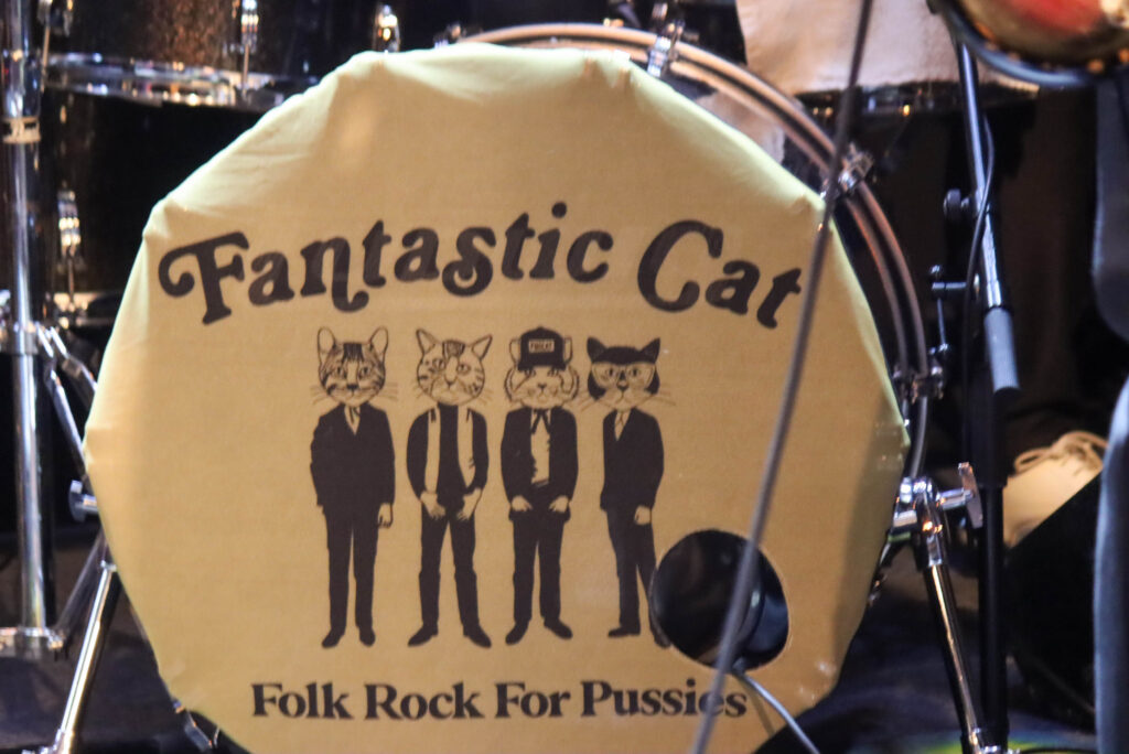 Fantastic Cat. Foto: Ole Kæhler